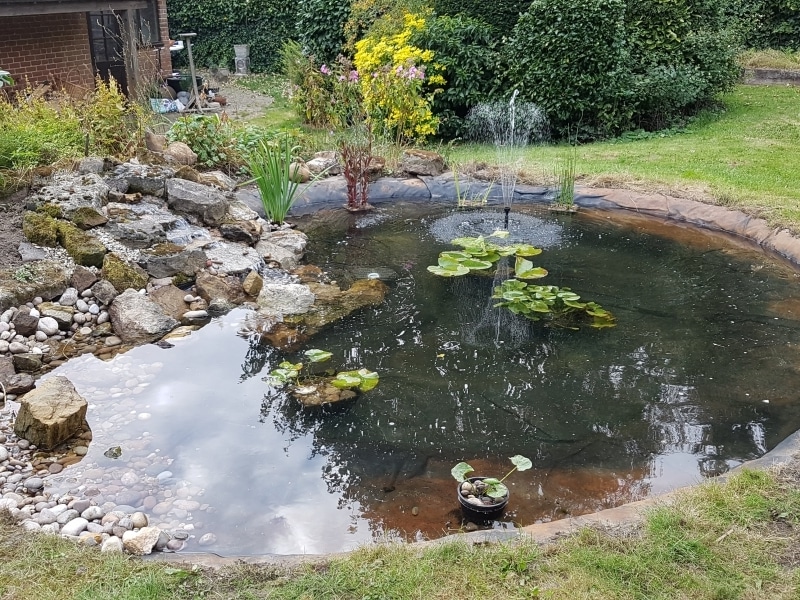 pond servicing and maintenance